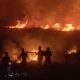 kadis-lhk-sumut-duga-100-hektare-hutan-lindung-danau-toba-dibakar