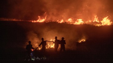 kadis-lhk-sumut-duga-100-hektare-hutan-lindung-danau-toba-dibakar