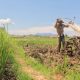 tanah-dan-petani-lelah,-pertanian-indonesia-stagnan-sejak-25-tahun