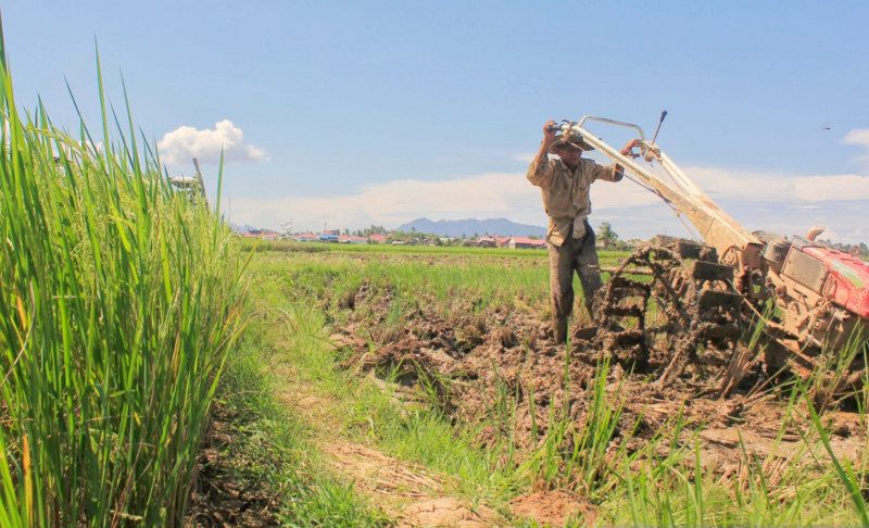 tanah-dan-petani-lelah,-pertanian-indonesia-stagnan-sejak-25-tahun