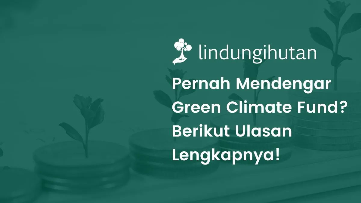 green-climate-fund:-sektor-pendanaan-dan-contoh-proyeknya-di-indonesia