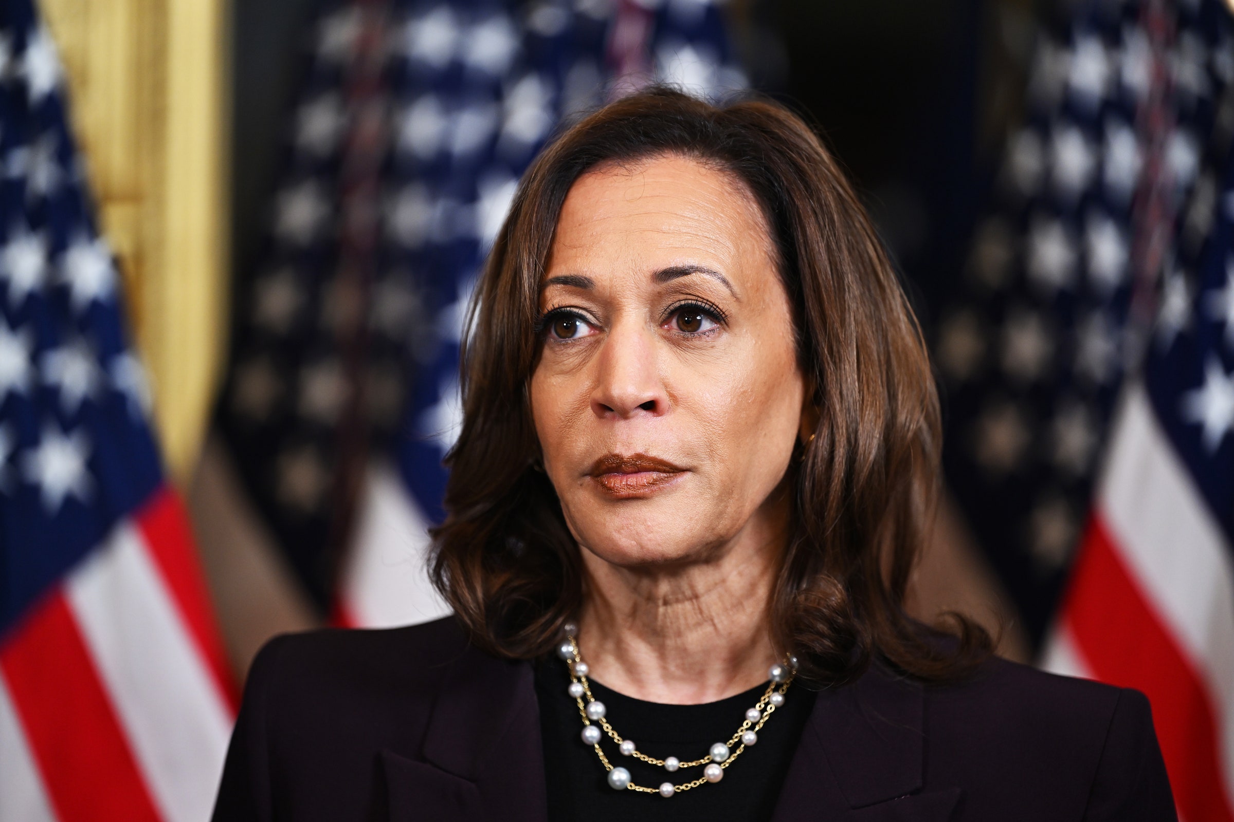 kamala-harris-dan-paradoks-kemajuan