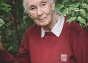 Jane Goodall Berpikir Belum Terlambat untuk Menyelamatkan Dunia