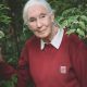 jane-goodall-berpikir-belum-terlambat-untuk-menyelamatkan-dunia