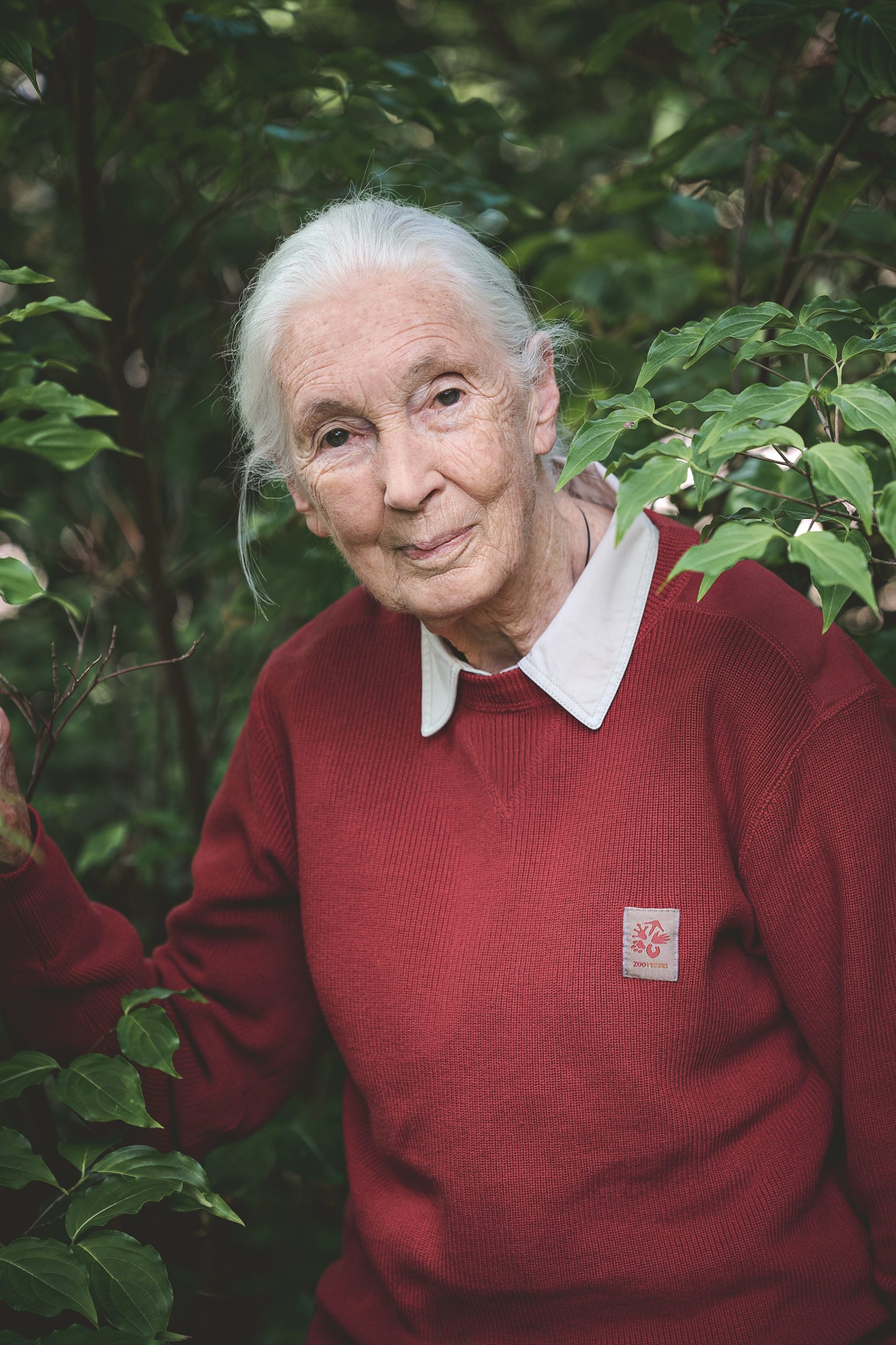 jane-goodall-berpikir-belum-terlambat-untuk-menyelamatkan-dunia