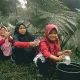 tema-outing-class:-pilihan-untuk-setiap-jenjang-pendidikan