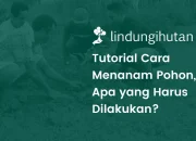 Cara Menanam Pohon dengan Mudah dan Perawatannya