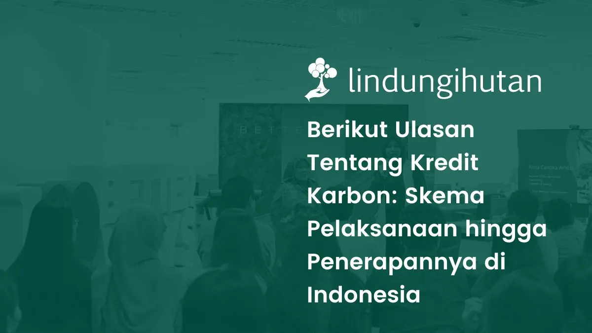 serba-serbi-kredit-karbon-indonesia,-simak-skema-dan-poin-pentingnya