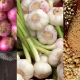 10-bumbu-dapur-yang-wajib-ada-di-rumah-dan-kos