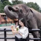 7-aktivitas-seru-yang-bisa-kamu-lakuin-di-lembang-park-&-zoo