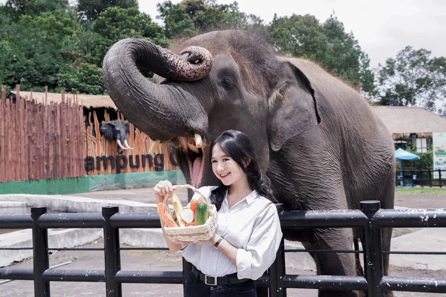 7-aktivitas-seru-yang-bisa-kamu-lakuin-di-lembang-park-&-zoo