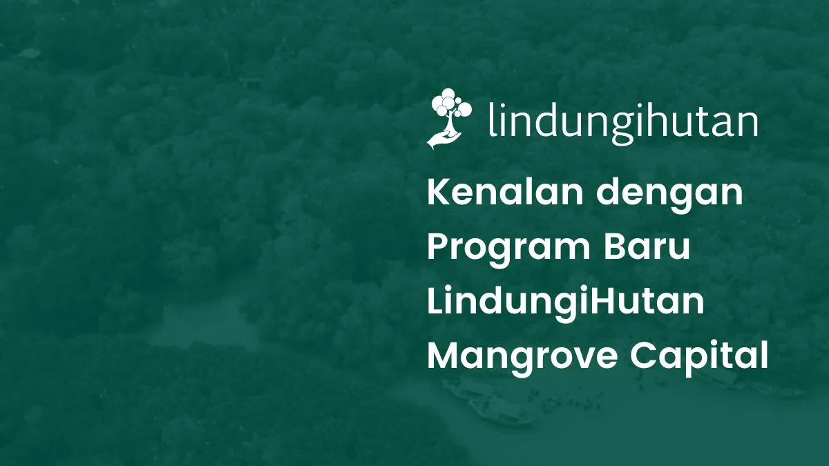 program-mangrove-capital-lindungihutan,-bantu-perusahaan-anda-mewujudkan-sustainable-finance