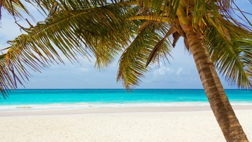 pantai-ini-dinobatkan-punya-pasir-paling-putih-di-planet-bumi