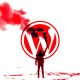 bug-litespeed-cache-membuat-jutaan-situs-wordpress-rentan-terhadap-serangan-pengambilalihan
