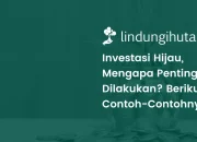 Apa Itu Investasi Hijau (Green Investment)?