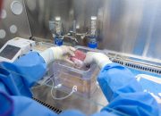 Batas Baru mRNA Bisa Jadi Penyembuhan Organ yang Rusak