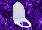 6 Bidet Terbaik, Teruji dan Diulas (2024): Toto, Kohler, Tushy
