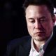 perusahaan-x-milik-elon-musk-diperintahkan-menghentikan-operasi-di-brasil