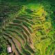 sikap-luhut-dan-sandiaga-soal-marak-sawah-di-bali-jadi-vila-dan-hotel