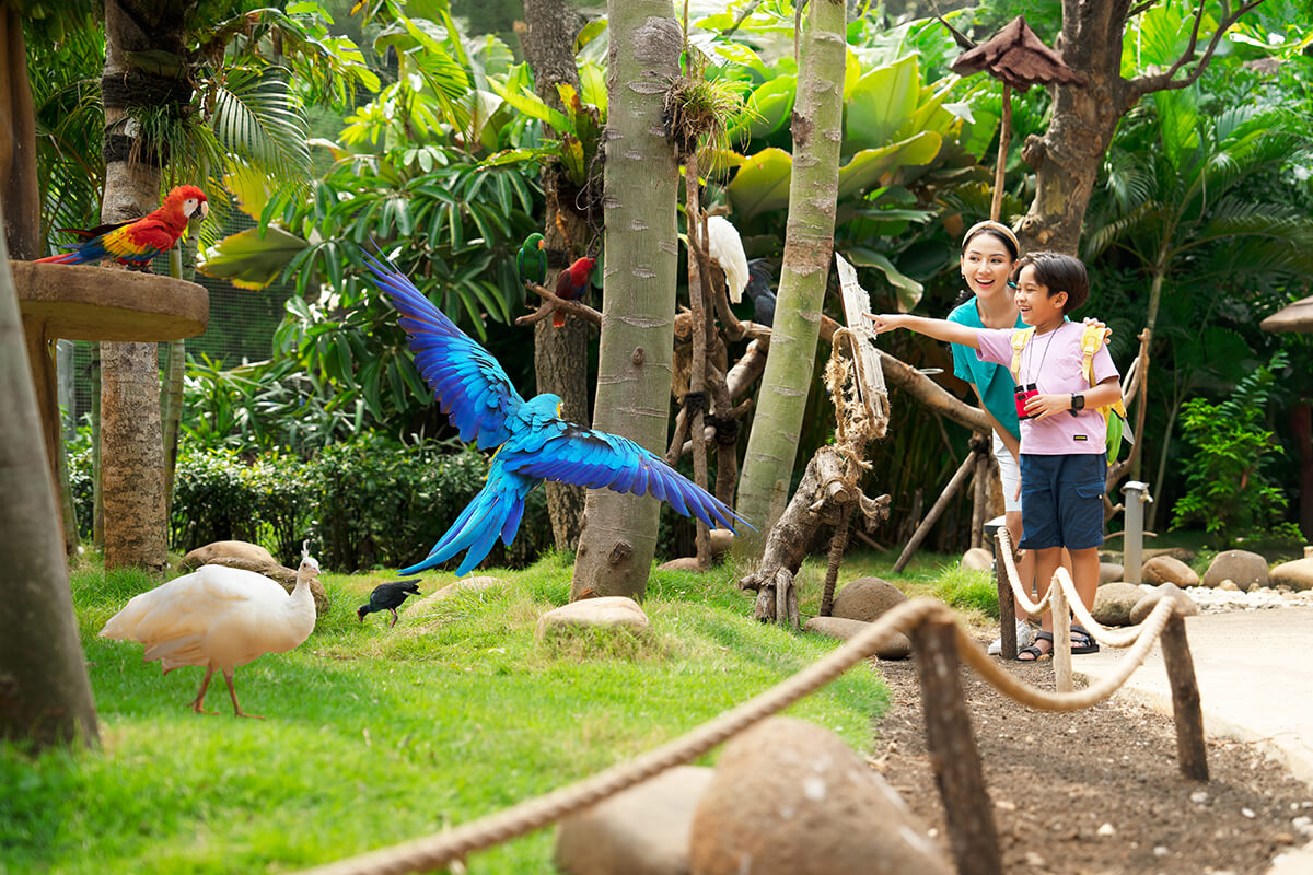 wisata-burung-terbaik-dan-terbesar-di-indonesia-:-jakarta-bird-land-ancol