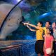panduan-lengkap-tiket-masuk-sea-world-rombongan-untuk-liburan-seru-dan-edukatif