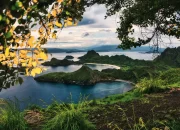 Taman Nasional Komodo: Destinasi Eksotis yang Wajib Masuk Bucket List Liburanmu
