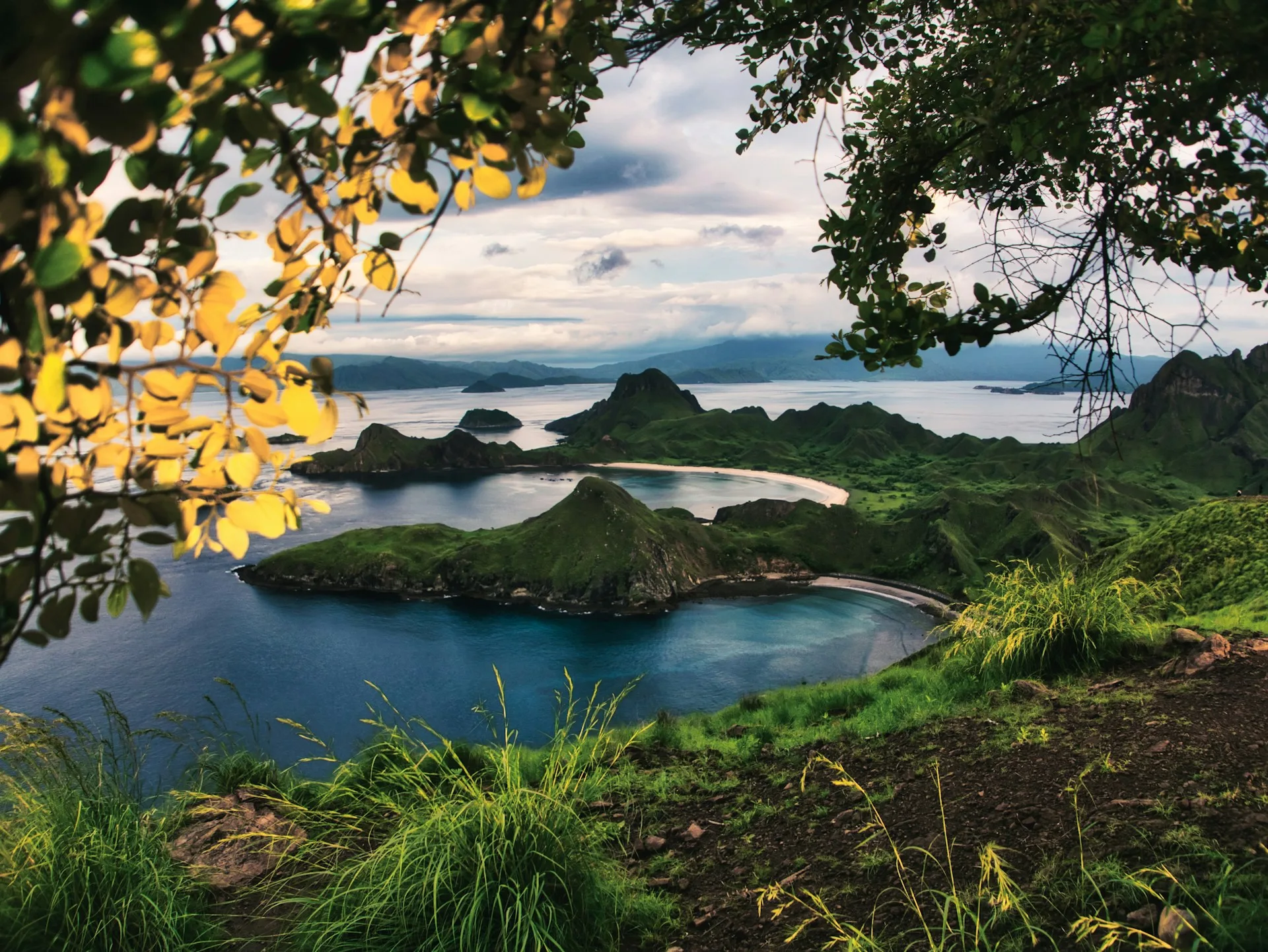 taman-nasional-komodo:-destinasi-eksotis-yang-wajib-masuk-bucket-list-liburanmu