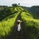 campuhan-ridge-walk:-akses,-daya-tarik,-dan-waktu-terbaik-berkunjung