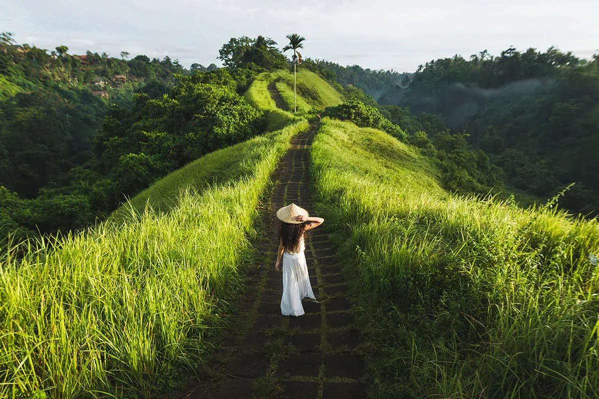 campuhan-ridge-walk:-akses,-daya-tarik,-dan-waktu-terbaik-berkunjung