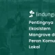 peran-penting-ekosistem-mangrove-bagi-komunitas-lokal?