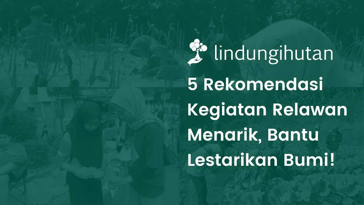 5-kegiatan-kerelawanan-yang-dapat-melindungi-bumi
