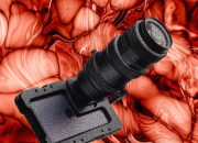 28 Tahun Kemudian: Film Zombie Terbaru Danny Boyle Direkam Menggunakan iPhone 15