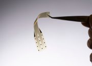 Implan Otak Graphene Ultra Tipis Baru Saja Diuji pada Seseorang