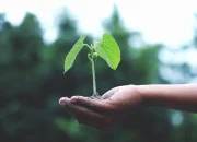 7 Kebiasaan Uang Lama yang Harus Diadopsi untuk Kekayaan Jangka Panjang (+ contoh)