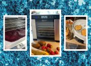 5 Dehidrator Makanan Terbaik, Telah Diuji dan Ditinjau