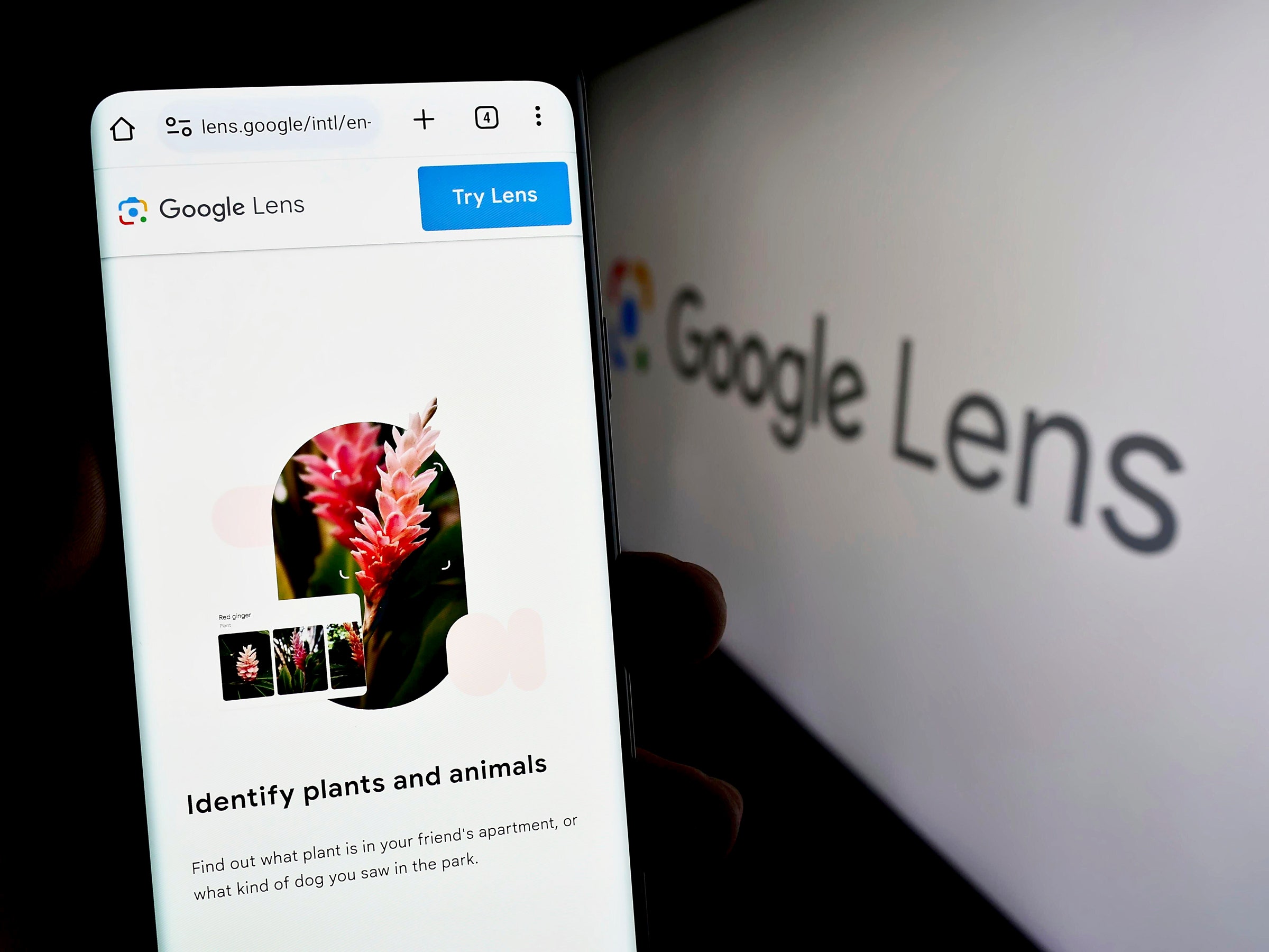 pencarian-visual-google-kini-dapat-menjawab-pertanyaan-yang-lebih-kompleks