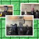 13-blender-wired-terbaik-yang-telah-diuji-dan-ditinjau-(2024)