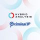 analisis-hibrid-didukung-oleh-kecerdasan-domain-komprehensif-ip-kriminal
