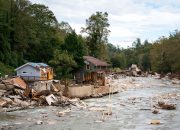 Badai Helene Tidak Dapat Menghentikan Birders Menggunakan eBird
