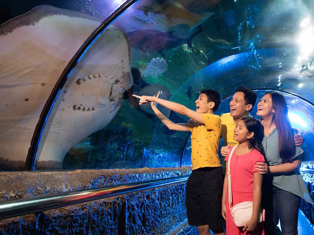 info-harga-tiket-sea-world-ancol-2025