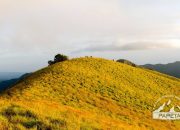 Mendaki Bukit Nanggi, Amazing Bukit di Lombok