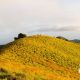 mendaki-bukit-nanggi,-amazing-bukit-di-lombok
