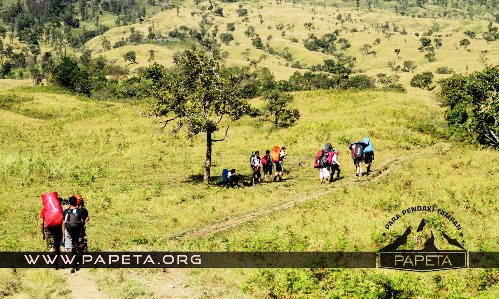 sebuah-tulisan-popular-untuk-pendaki,-papeta,-rinjani-dan-persahabatan