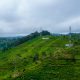 15-destinasi-liburan-di-puncak,-bogor
