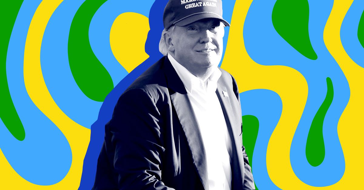 donald-trump-tampaknya-telah-meluncurkan-koin-meme