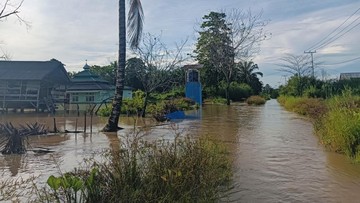 ratusan-hektar-sawah-di-lampung-selatan-terendam-banjir-hingga-2-meter
