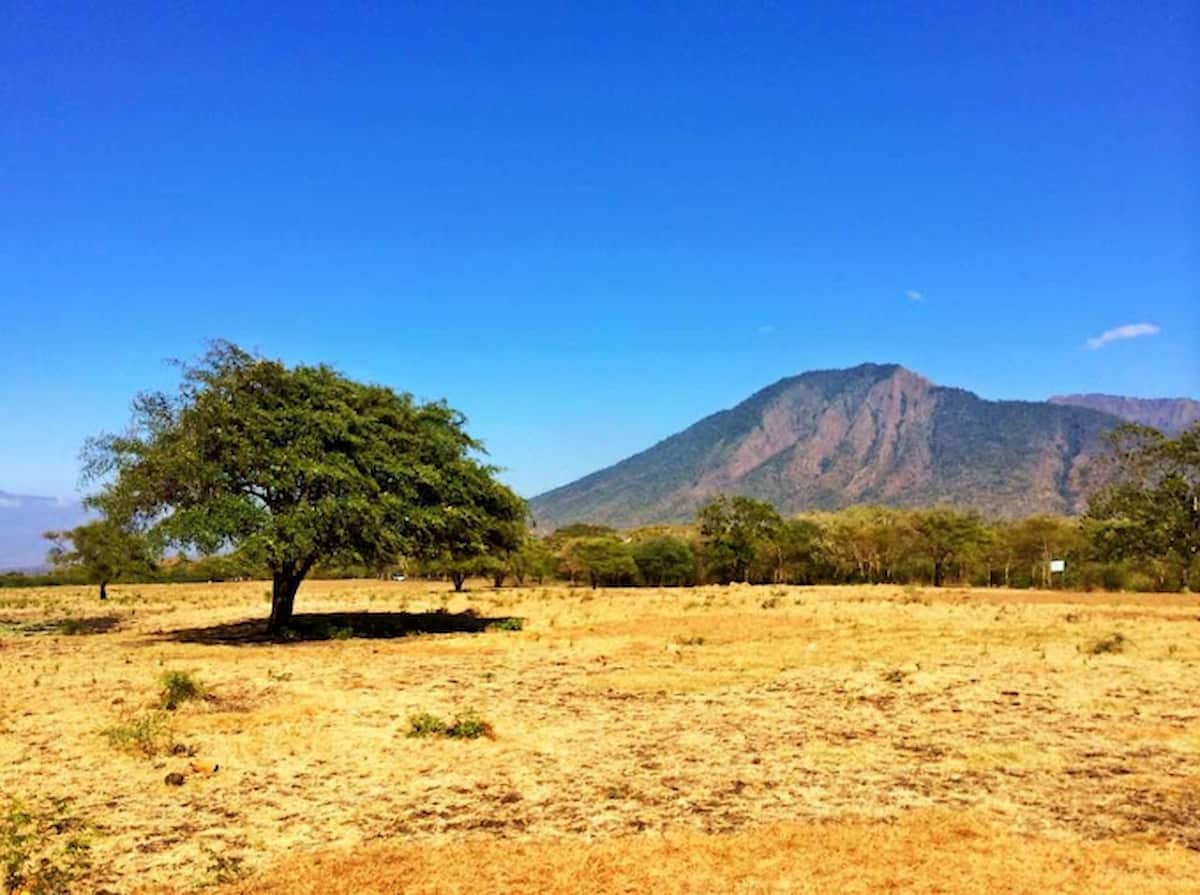 eksotisme-taman-nasional-baluran,-afrika-kecil-di-jawa