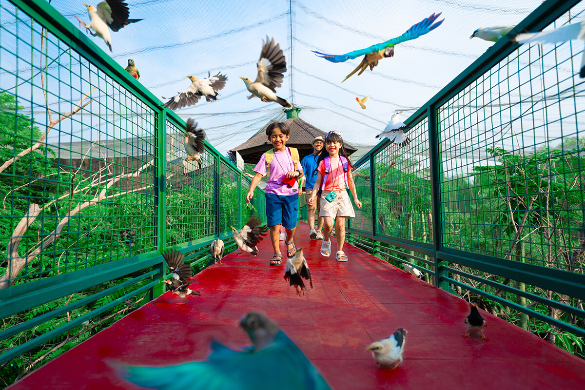 jelajahi-keindahan-alam-di-jakarta-bird-land-ancol-dengan-harga-spesial-lebih-hemat!