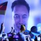 bagaimana-elon-musk-membantu-pesta-afd-jerman-jerman-menjadi-arus-utama