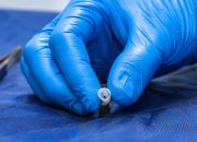 Pembuluh darah ini ditanam di laboratorium dengan sel manusia asli